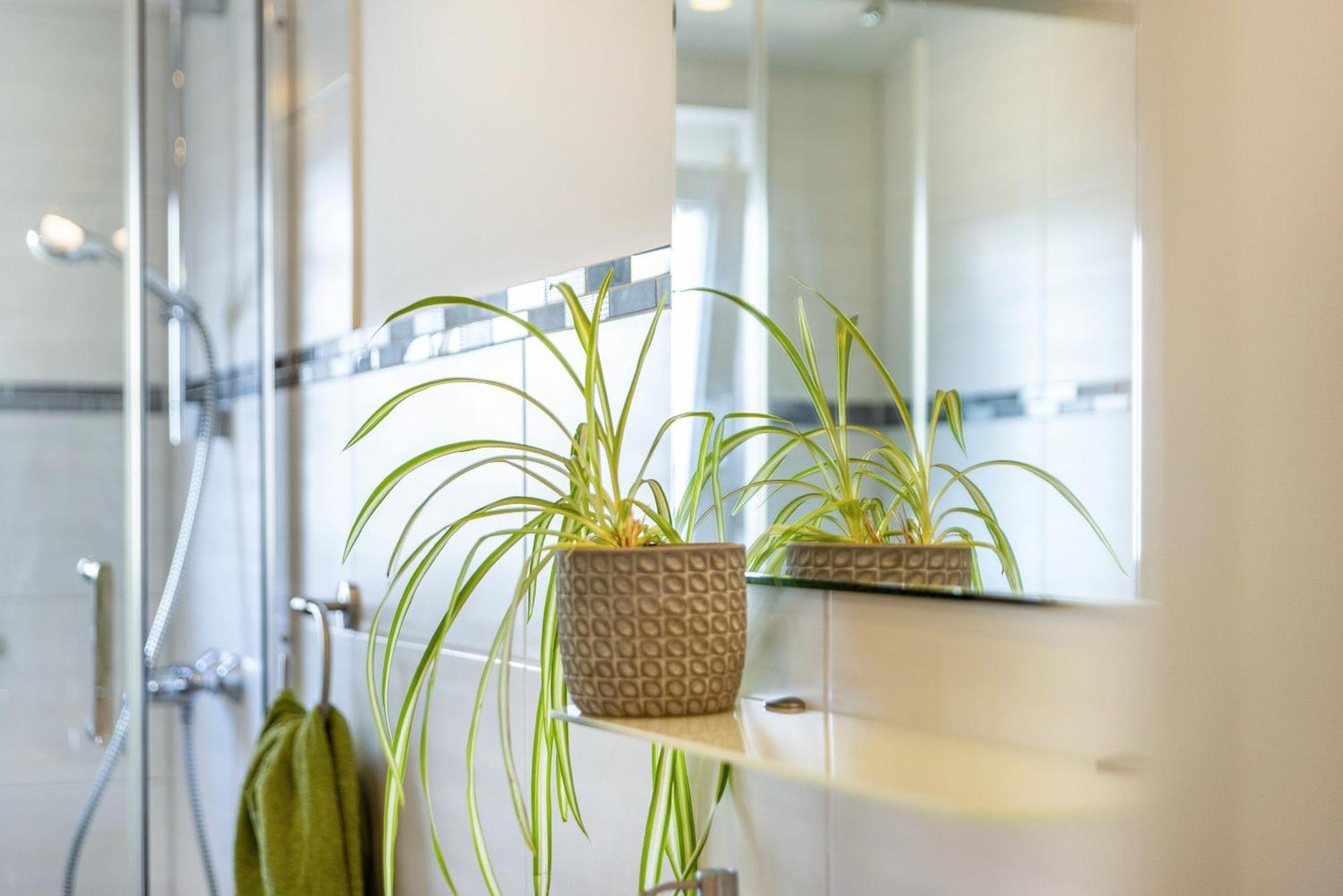 Baumelt Ferienwohnung 헤힝겐 외부 사진